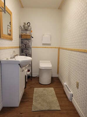 Hair dryer, towels, soap, toilet paper