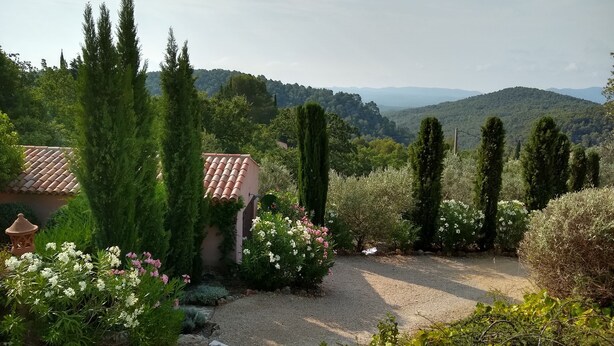 Un jardin avec un chemin de gravier, de grands cyprès et des plantes en fleurs.