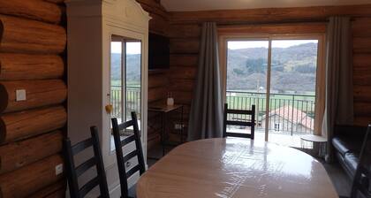 LA FUSTITI - ROCK CHALET IN BLESLE (CLASS PLUS BEAUTIFUL VILLAGE OF FRANCE)