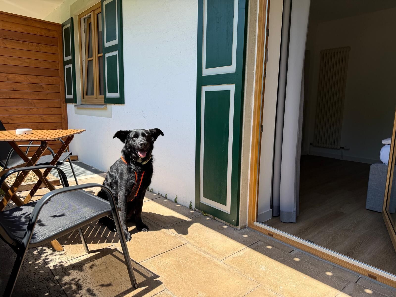 Un chien est assis devant une maison, près d’une table et de chaises en bois.