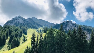 Eine Berglandschaft mit dichtem Wald und felsigen Klippen.