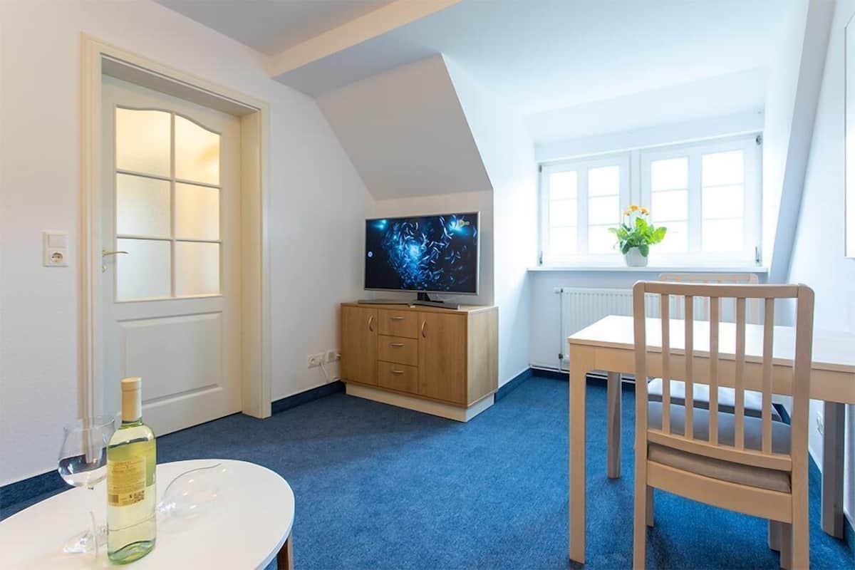 A room with a television, a table with a bottle and glass, a chair, a window with a plant, and a door.