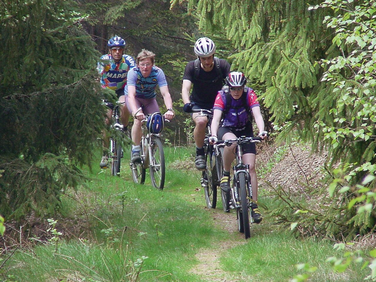 Een groep fietsers op een smal pad, omringd door weelderige begroeiing.