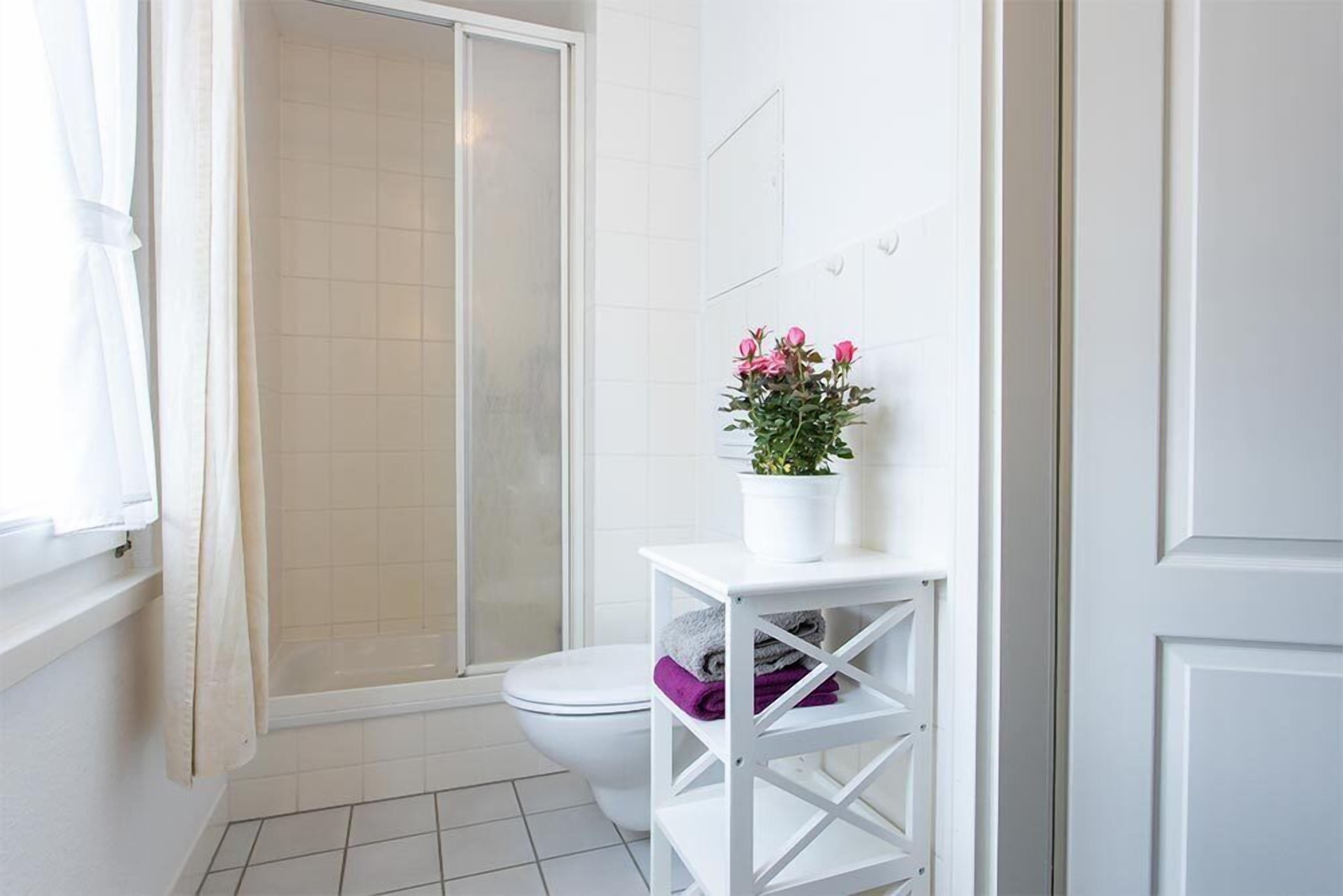 A bathroom with a shower, toilet, and a white shelf with a potted plant.