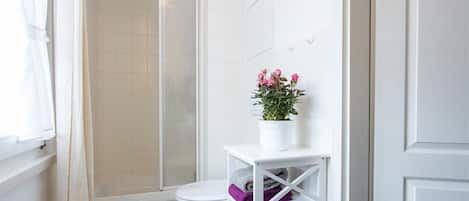 A bathroom with a shower, toilet, and a white shelf with a potted plant.