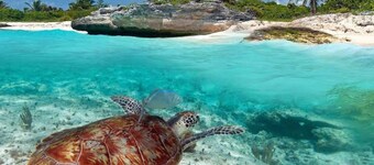 Experience paradise at Bahia Principe Residences & Golf Club! 🌴☀️ ( C 12 )