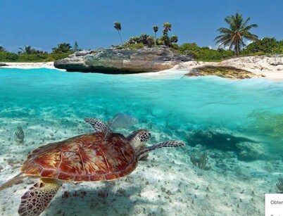 Experience paradise at Bahia Principe Residences & Golf Club! 🌴☀️ ( C 12 )