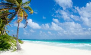Beach nearby