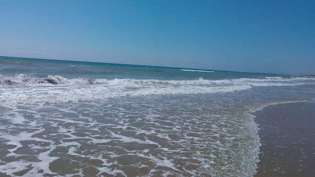Une plage où les vagues viennent doucement lécher le rivage sous un ciel bleu et dégagé.