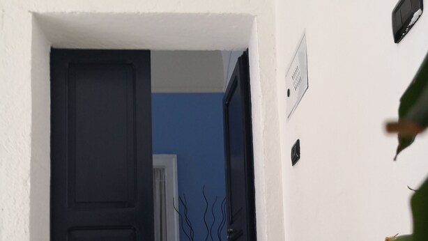 Une porte d’entrée avec une porte sombre, un paillasson, un interrupteur fixé au mur et un vase décoré de branches.