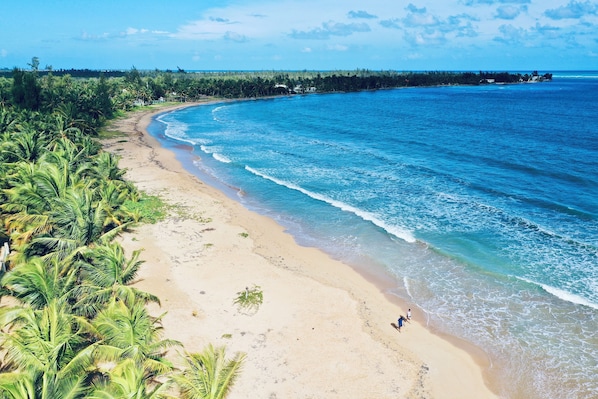 Plage, chaises longues, serviettes de plage