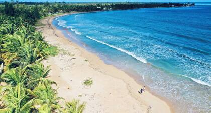 Beach Resort Condo Near Rainforest. Pool & Private Beach Gate. No Cleaning Fee!