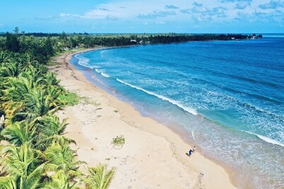 Beach Resort Condo Near Rainforest. Pool & Private Beach Gate. No Cleaning Fee!