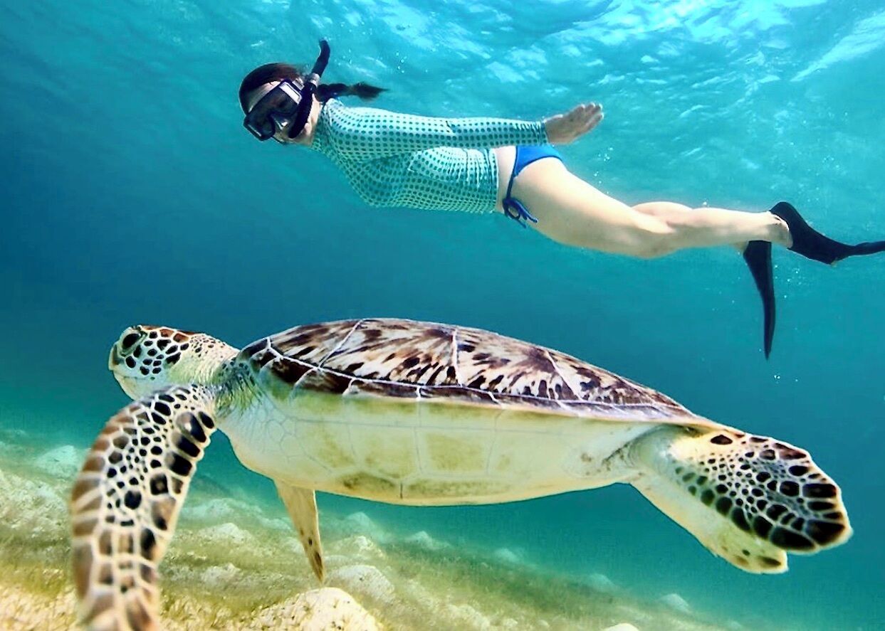 A person snorkeling with a sea turtle in clear water.
