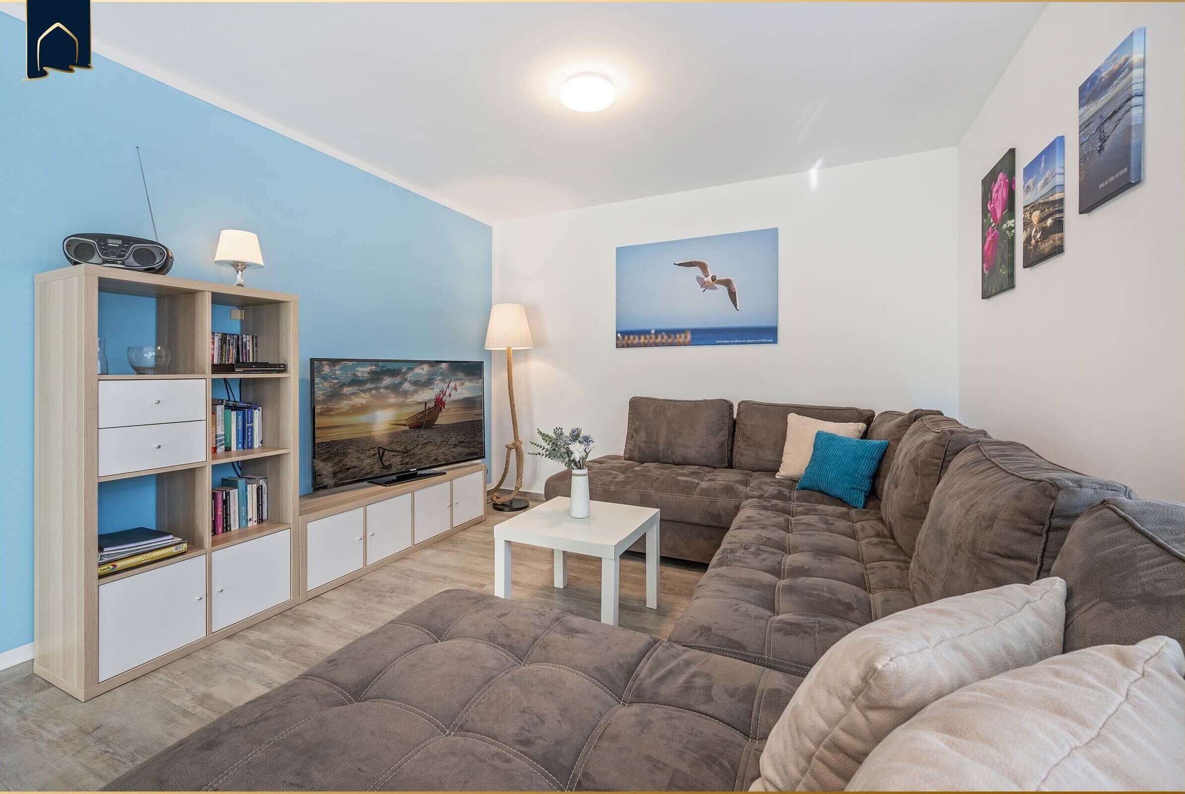 TV, DVD player, ping pong, books