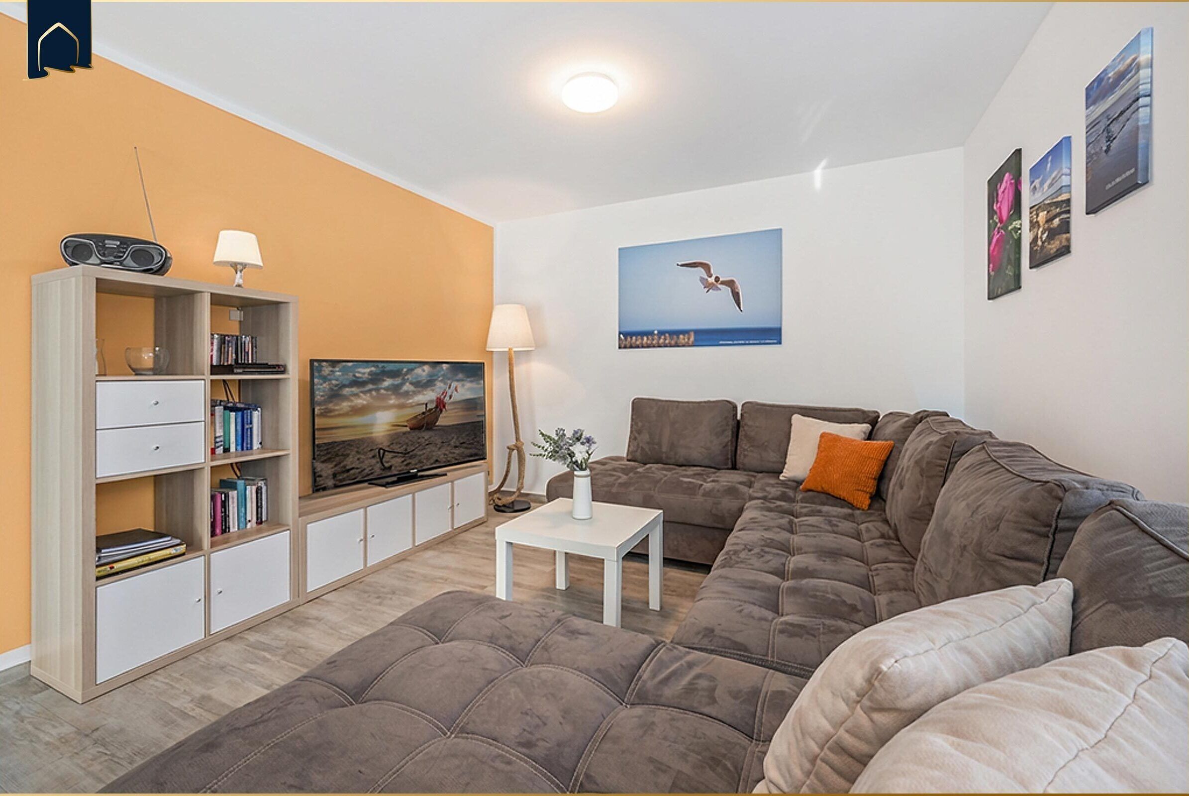 电视、DVD 播放器、乒乓球、书