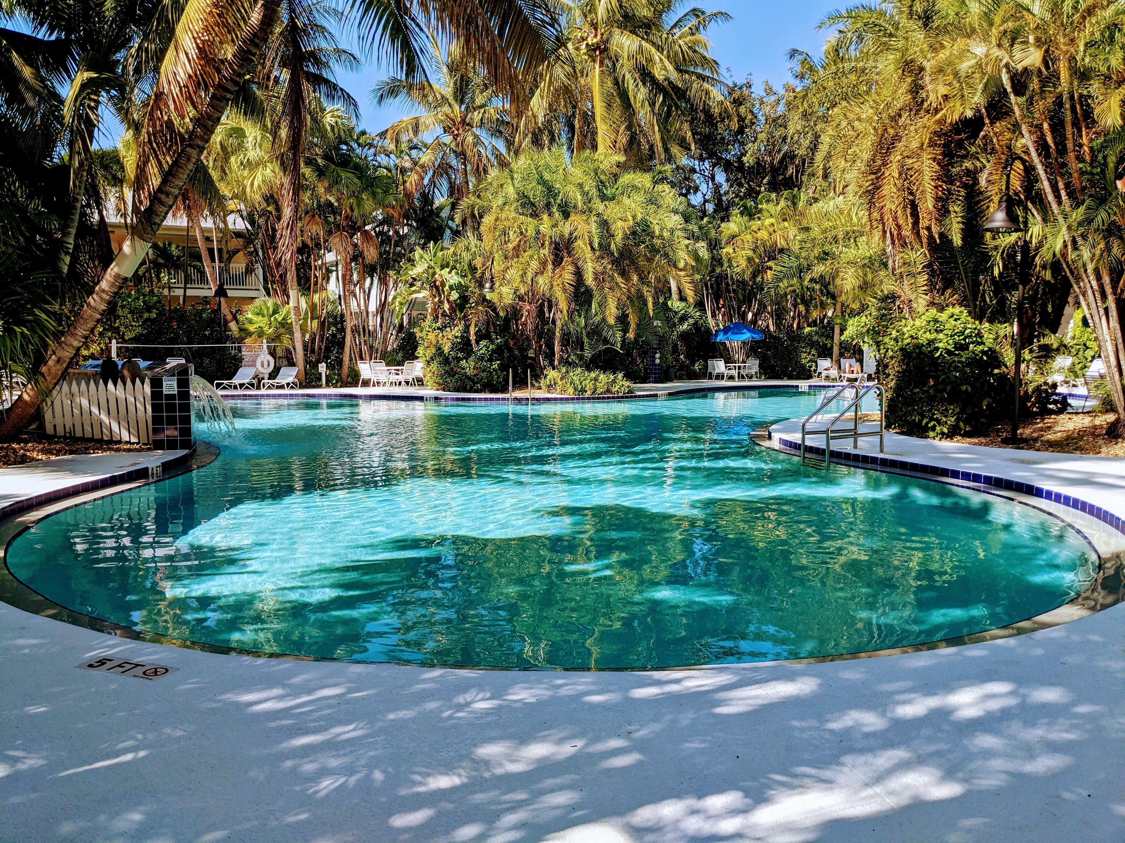 A clear swimming pool surrounded by palm trees and lounge chairs.
