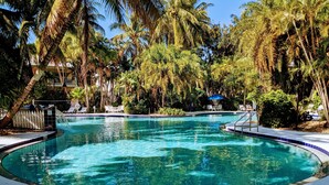 A clear swimming pool surrounded by palm trees and lounge chairs. - Paradise found at the Key West Golf Club! (Key West)