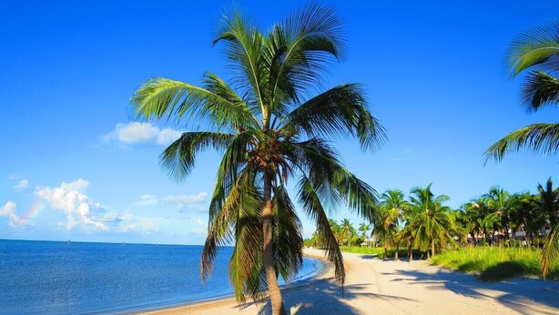 A beach with palm trees and a clear blue sky. - Paradise found at the Key West Golf Club! (Key West)