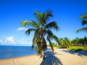 A beach with palm trees and a clear blue sky. - Paradise found at the Key West Golf Club! (Key West)