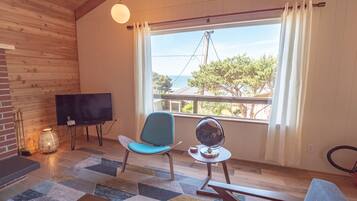 Smart TV, fireplace, DVD player, video library