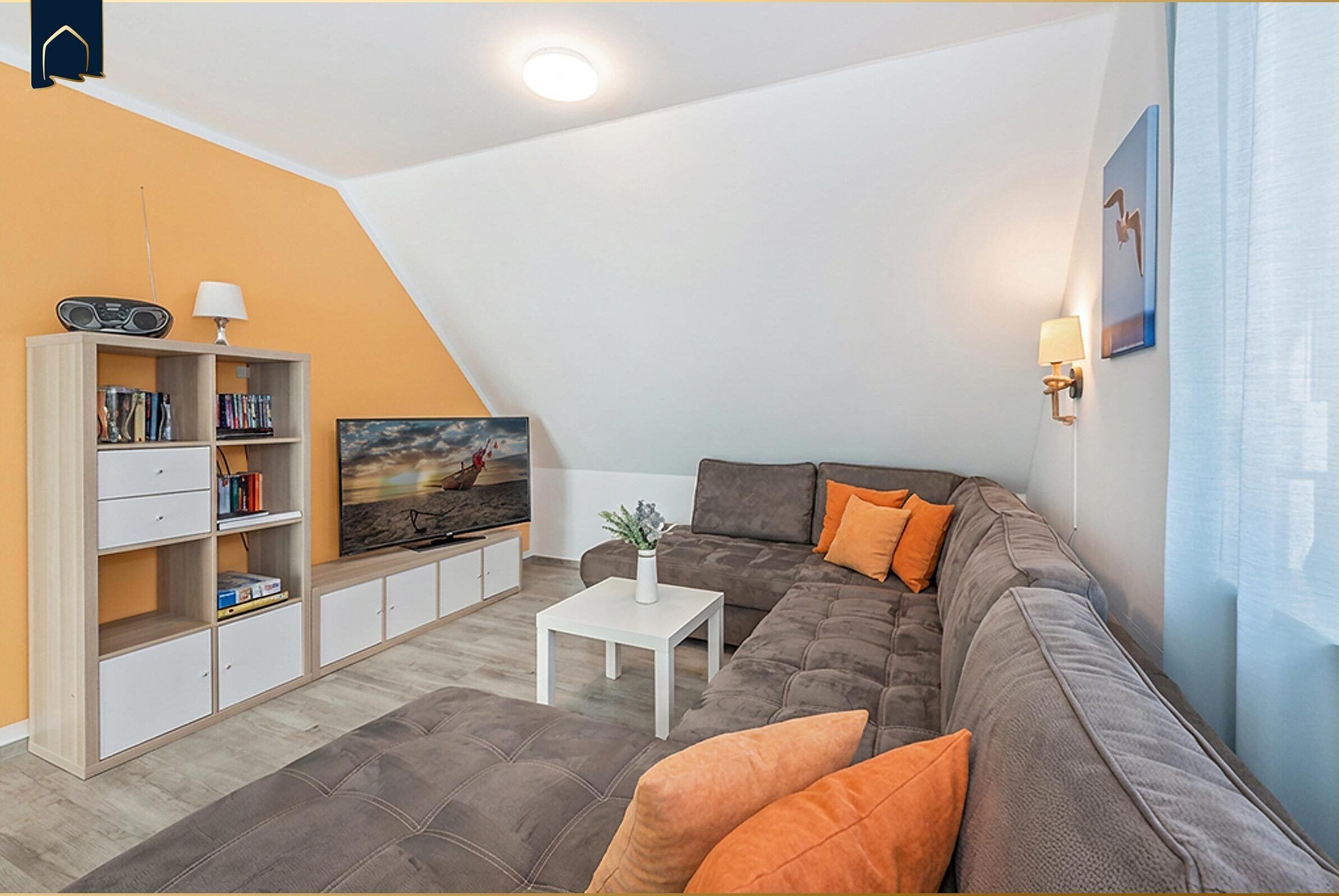 TV, DVD player, table tennis, books