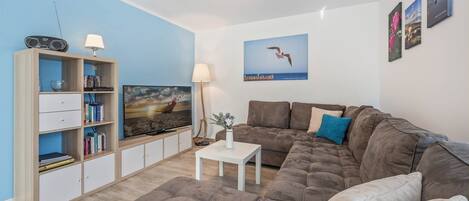 TV, DVD player, table tennis, books