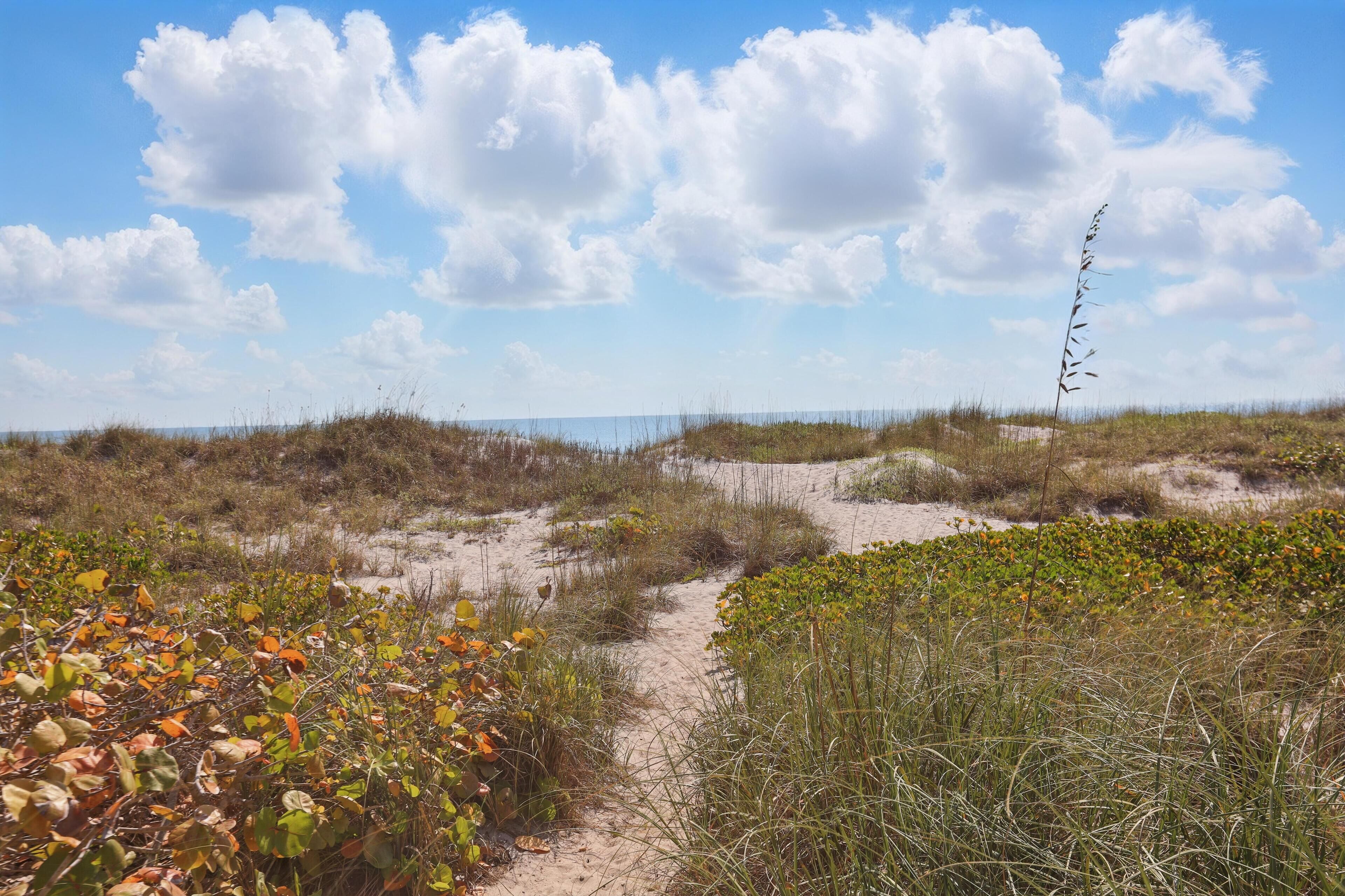 A sandy beach path with dunes and sparse vegetation.