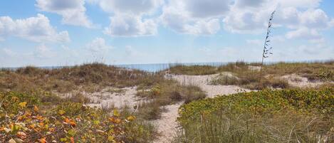 A sandy beach path with dunes and sparse vegetation.