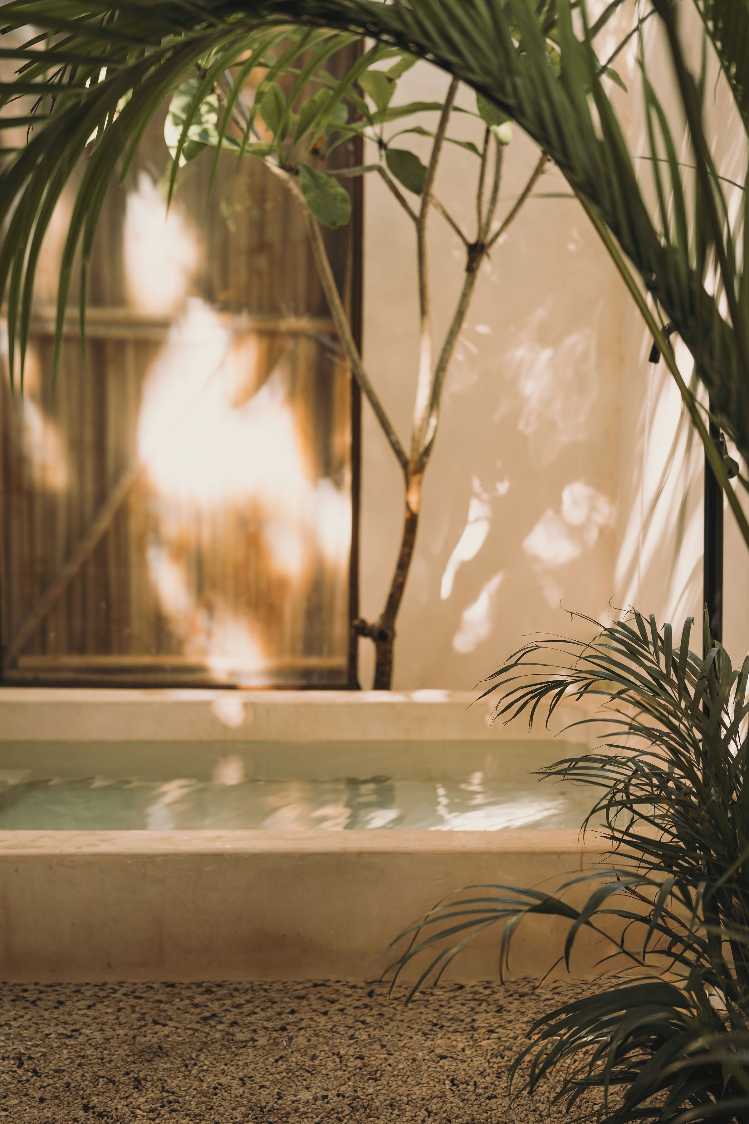 프리미엄룸, 전용 수영장 | 테라스/파티오