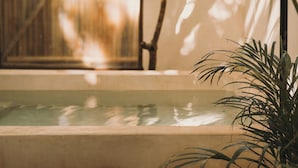 A tranquil indoor garden with a water feature, a bamboo structure, and a concrete ledge. - Zelune Luxury Lagoon Resort Bacalar Adults only (Bacalar)