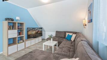 Televisio, takka, DVD-soitin, pöytÀtennispöytÀ