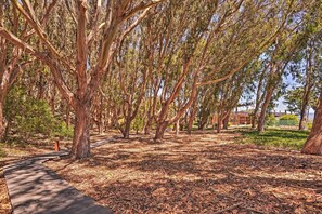 Property grounds - Beachfront Pajaro Dunes Condo w/ Bay Views! (Watsonville)