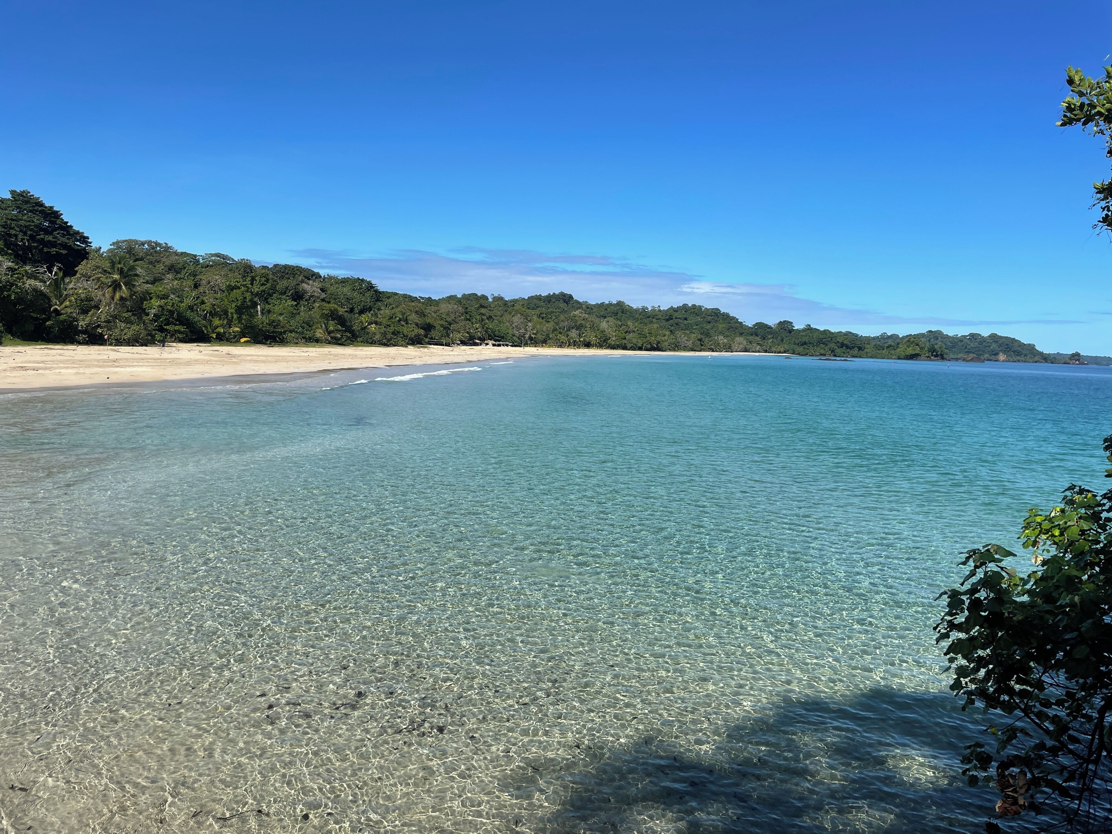 Une plage avec une eau claire et peu profonde, un rivage sablonneux et une végétation luxuriante en arrière-plan.