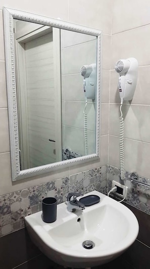 Shower, hair dryer, bidet, towels