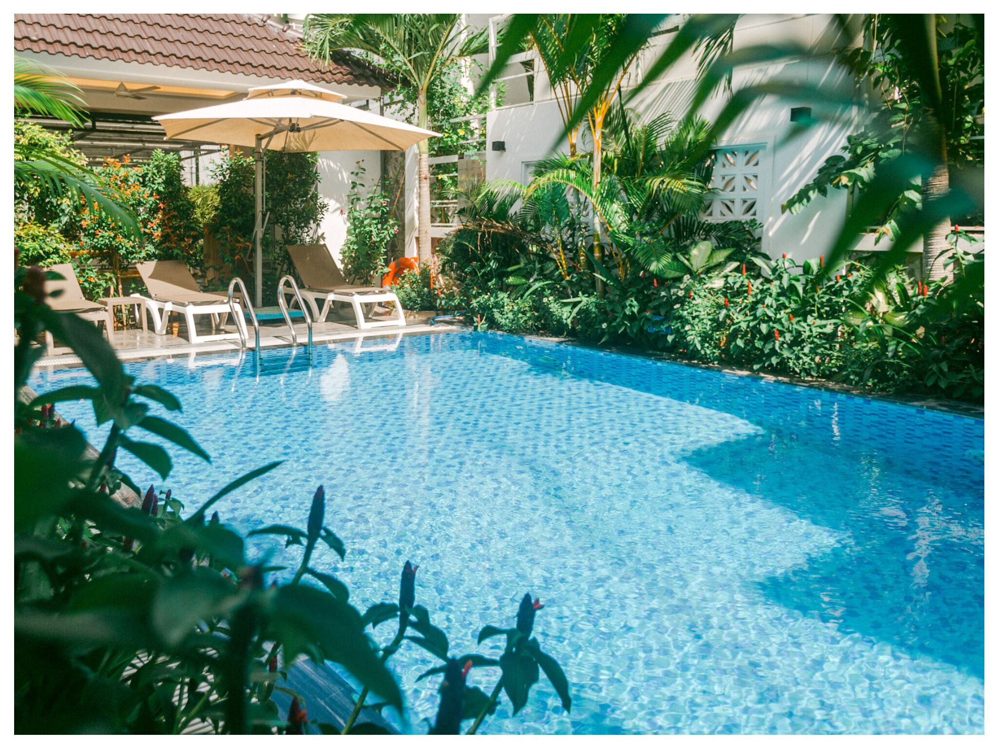 outdoor pool, open 8:00 am to 8:00 pm, pool umbrellas, pool loungers