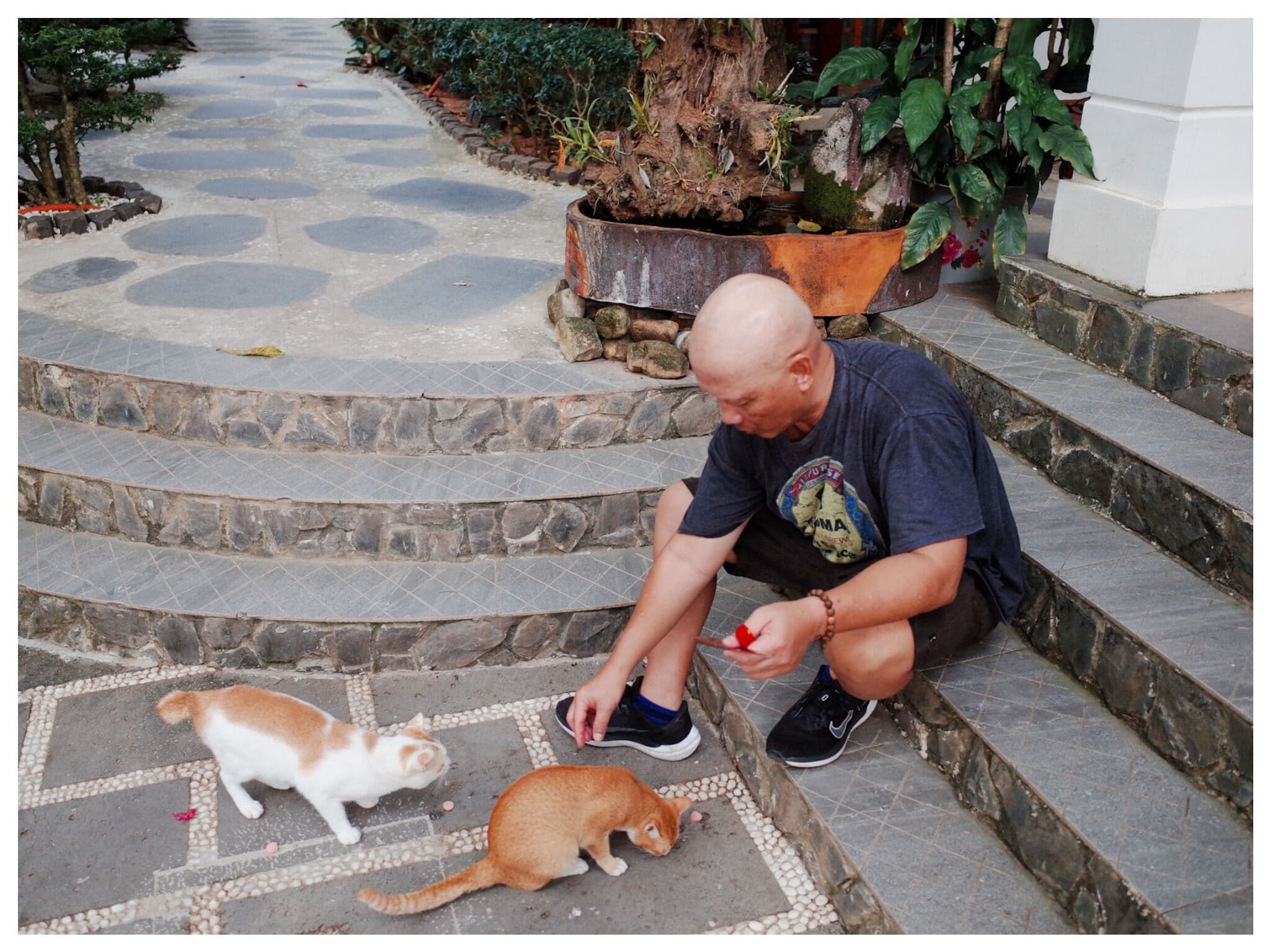 Foto - La Limone Resort & Residence Phu Quoc