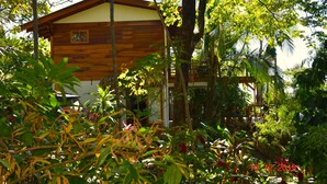 Una cabaña de madera rodeada de abundante vegetación.