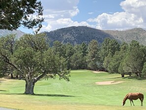 Golf - Enchanting Alto Lakes Country Club House (Alto)