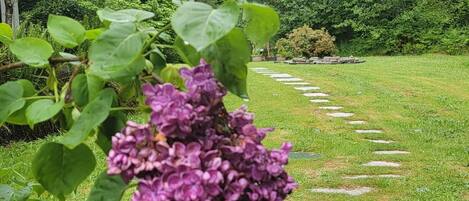 Área da propriedade