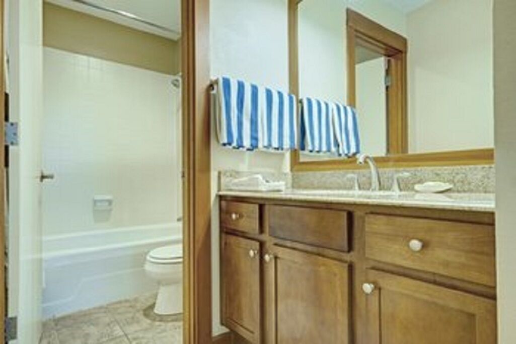 You will not have enough time to enjoy all of this !