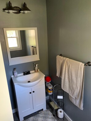 Shower, hair dryer, soap, shampoo