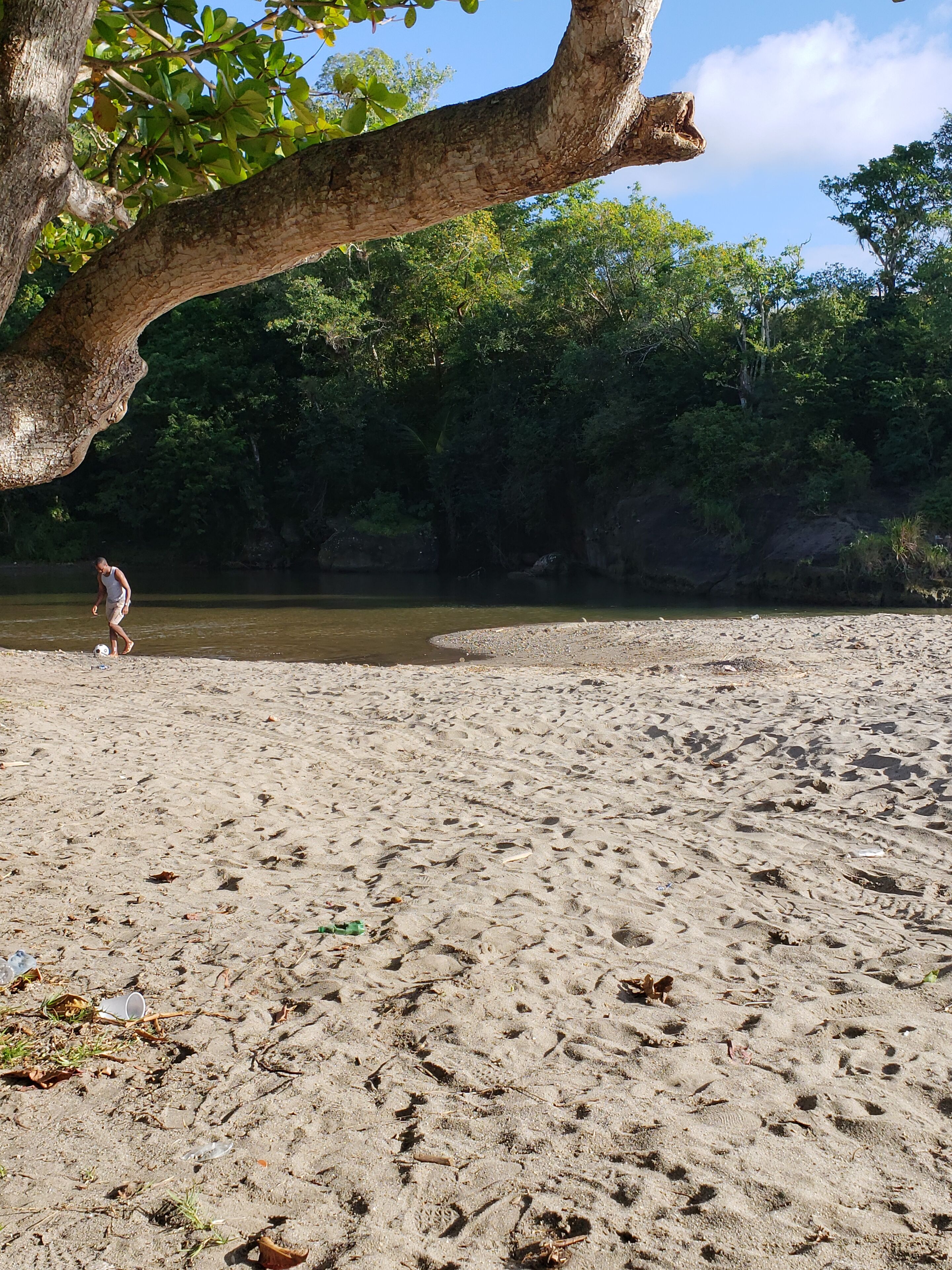Sun-loungers, beach towels