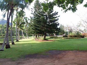 Parco della struttura