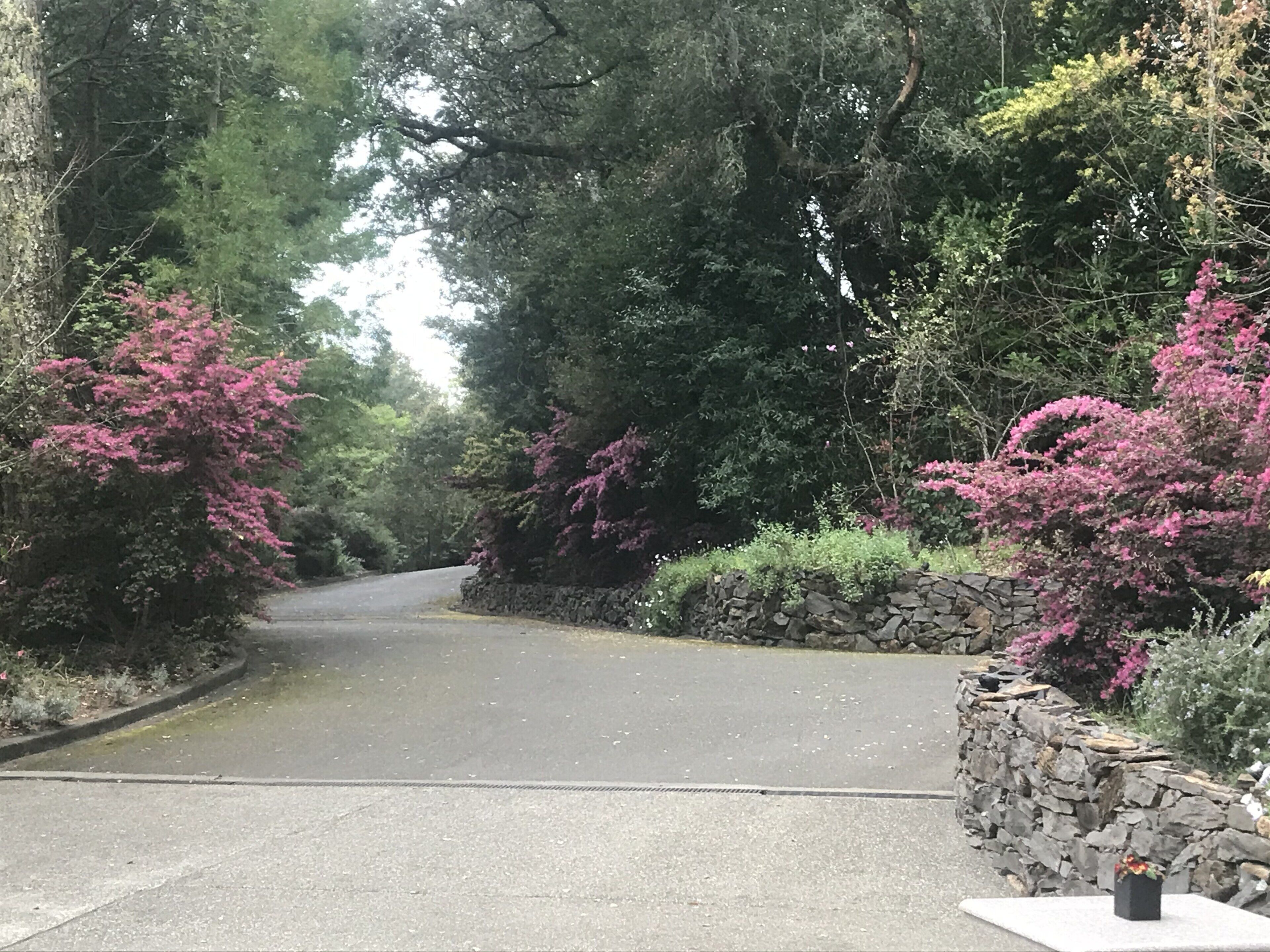 Just minutes from Calistoga, Kenwood, Sonoma and Napa