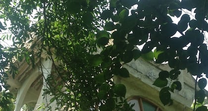 Großes, privates, modernes Steinhaus in kleinem Mayadorf. In der Nähe von Valladolid.