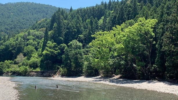 A river with clear water, surrounded by dense forest and a rocky shoreline. - Kawayu onsen Minshuku SUMIYA (Tanabe)
