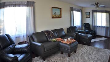 TV connectée, cheminée, lecteur de DVD, livres