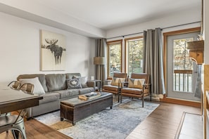 TV, fireplace, books