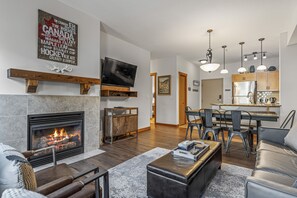 TV, fireplace, books